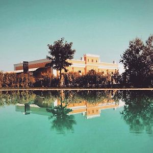 Tenuta Orsanese